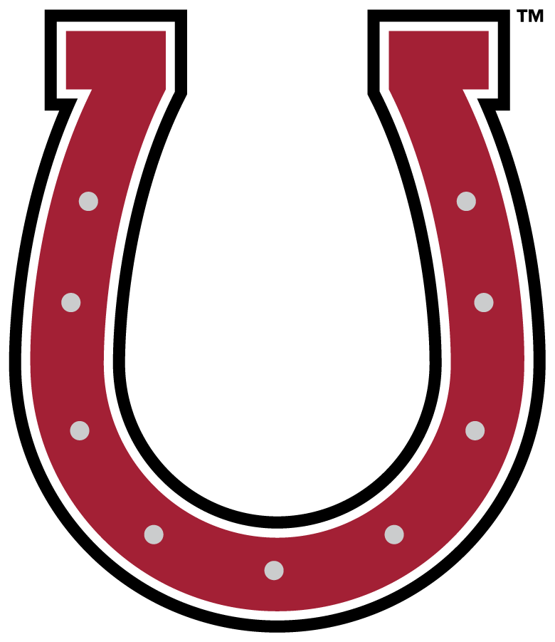 Rider Broncs 2007-Pres Secondary Logo v3 diy iron on heat transfer